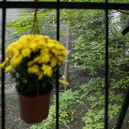 Natalie'S Home Belgrad Exterior foto